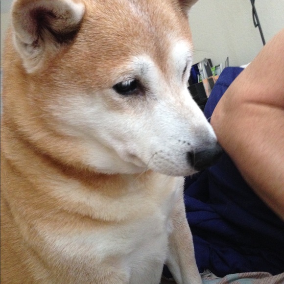 Meet your Posher - Picture 8 of 8